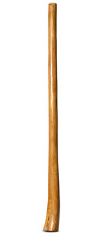 Gloss Finish Flared Didgeridoo (TW1303)